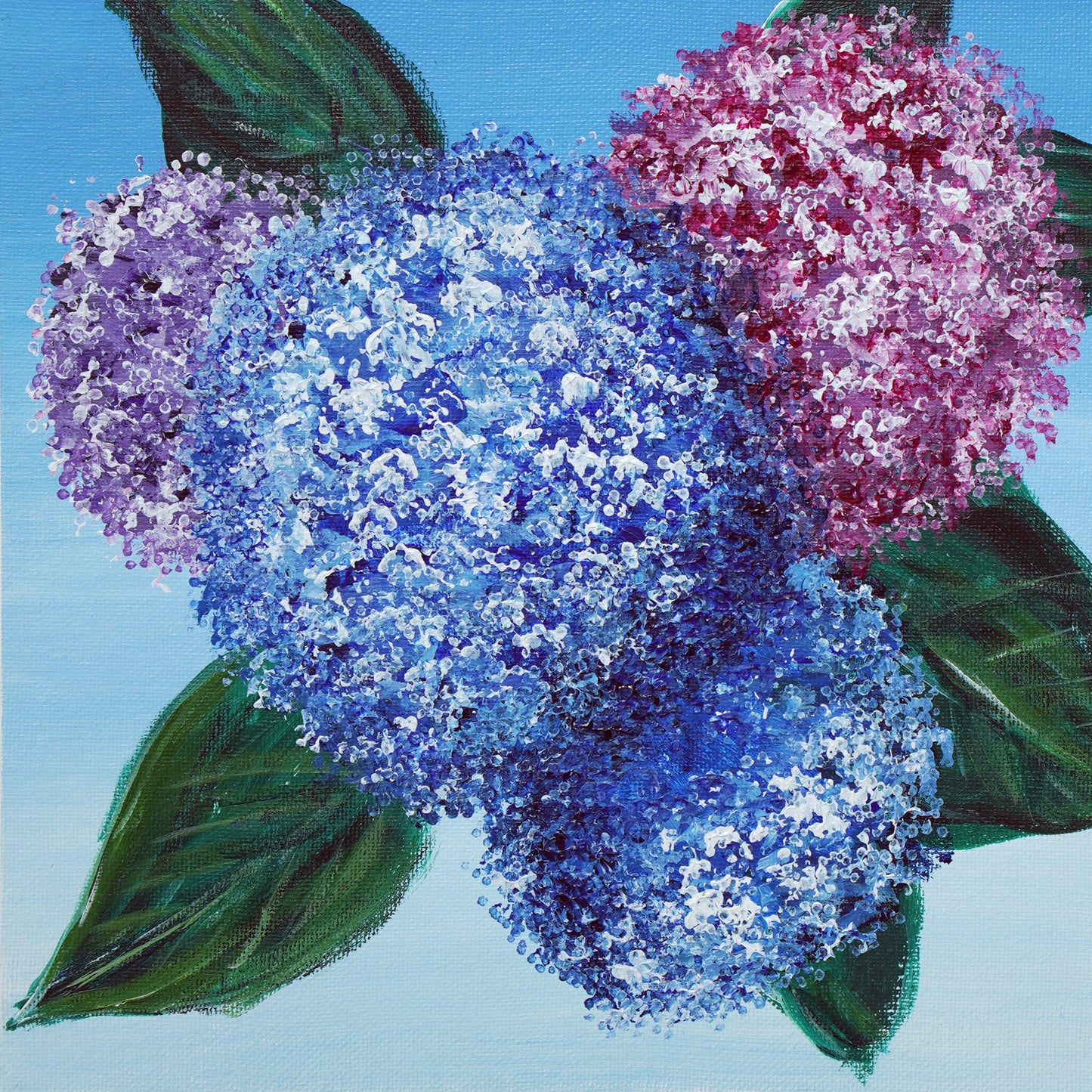 Hydrangea - 10×10