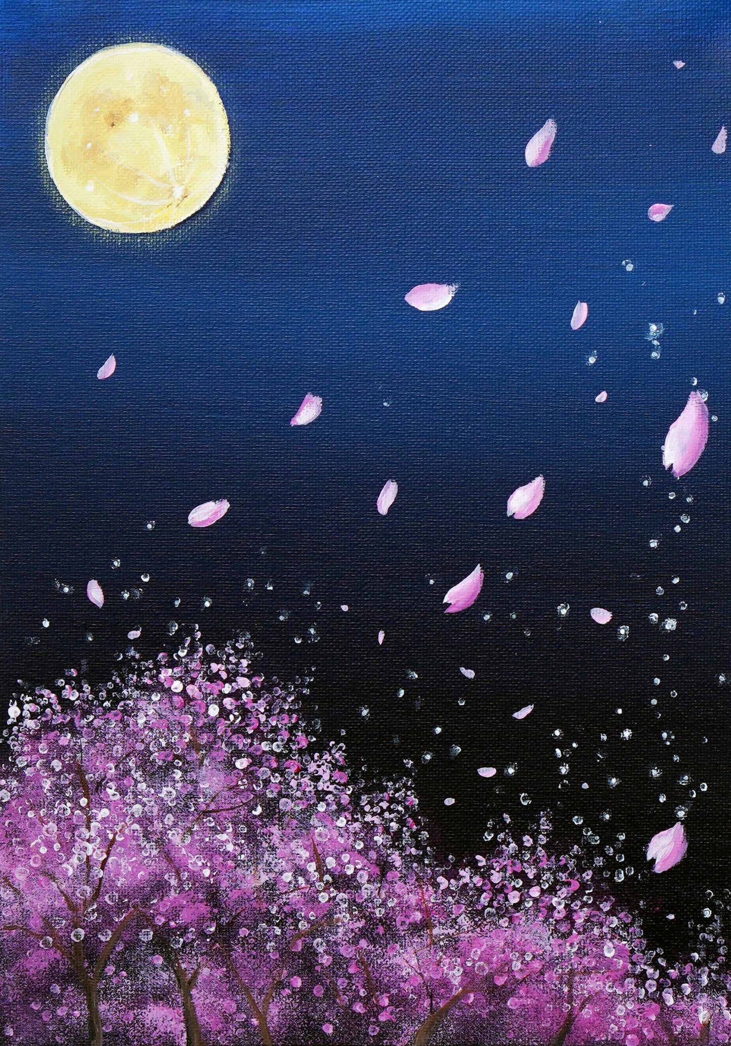SakuraFubuki - 9×12
