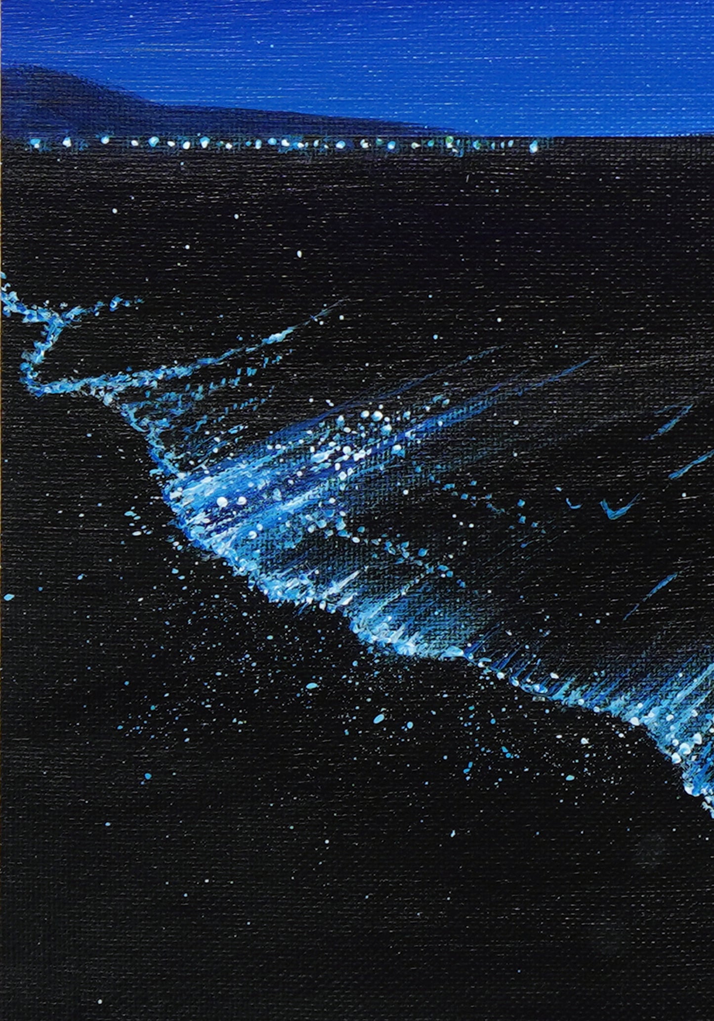 Sea Firefly - 9×12