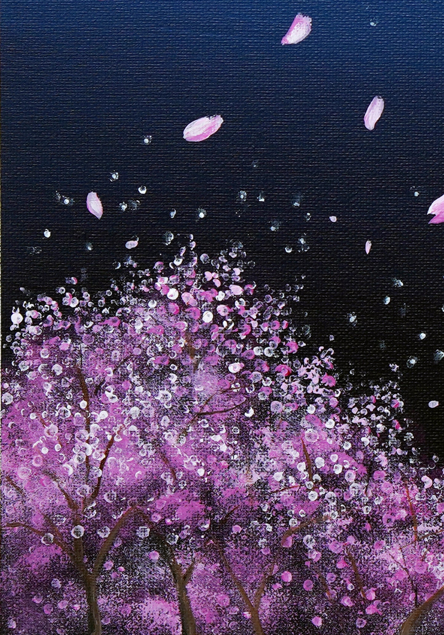 SakuraFubuki - 9×12
