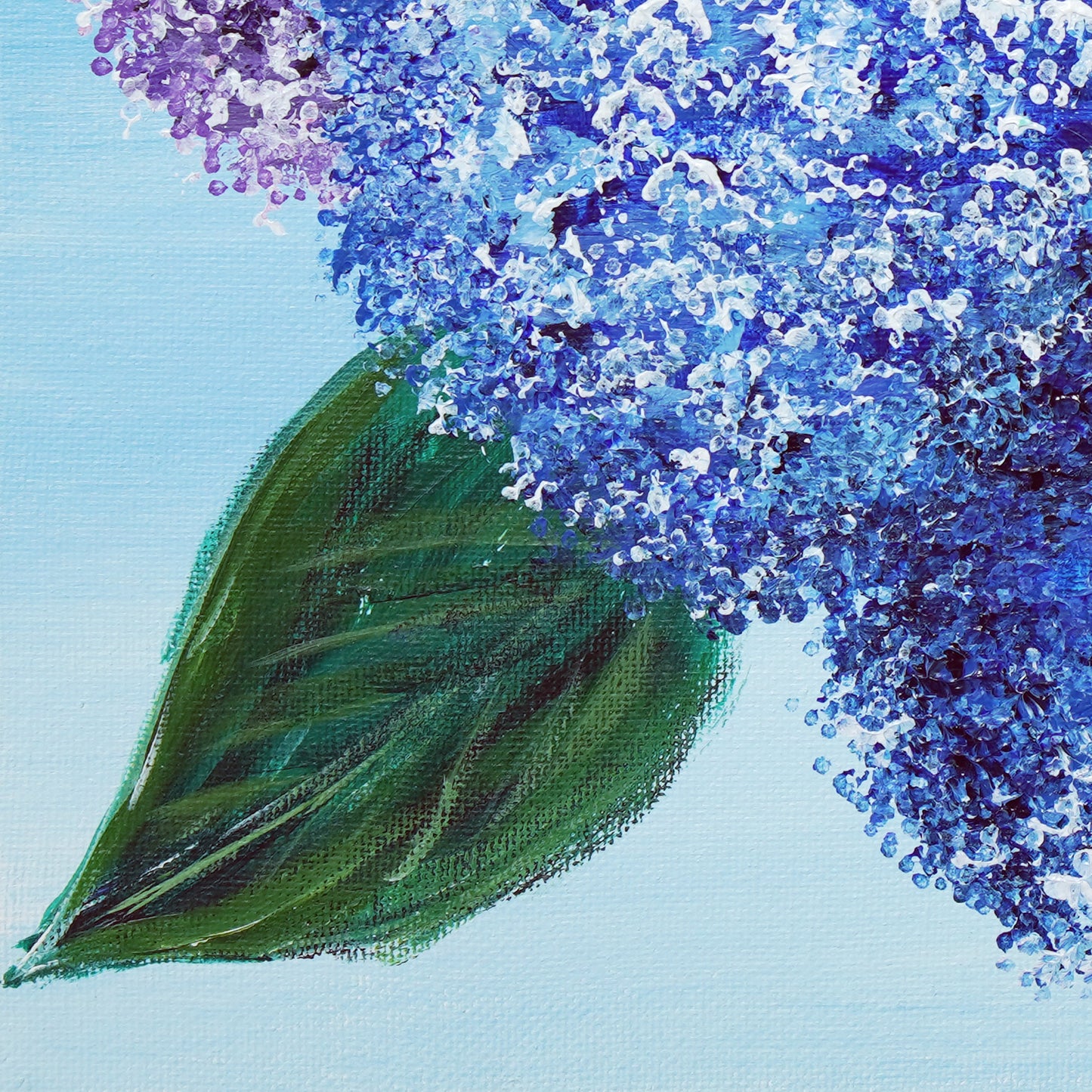 Hydrangea - 10×10