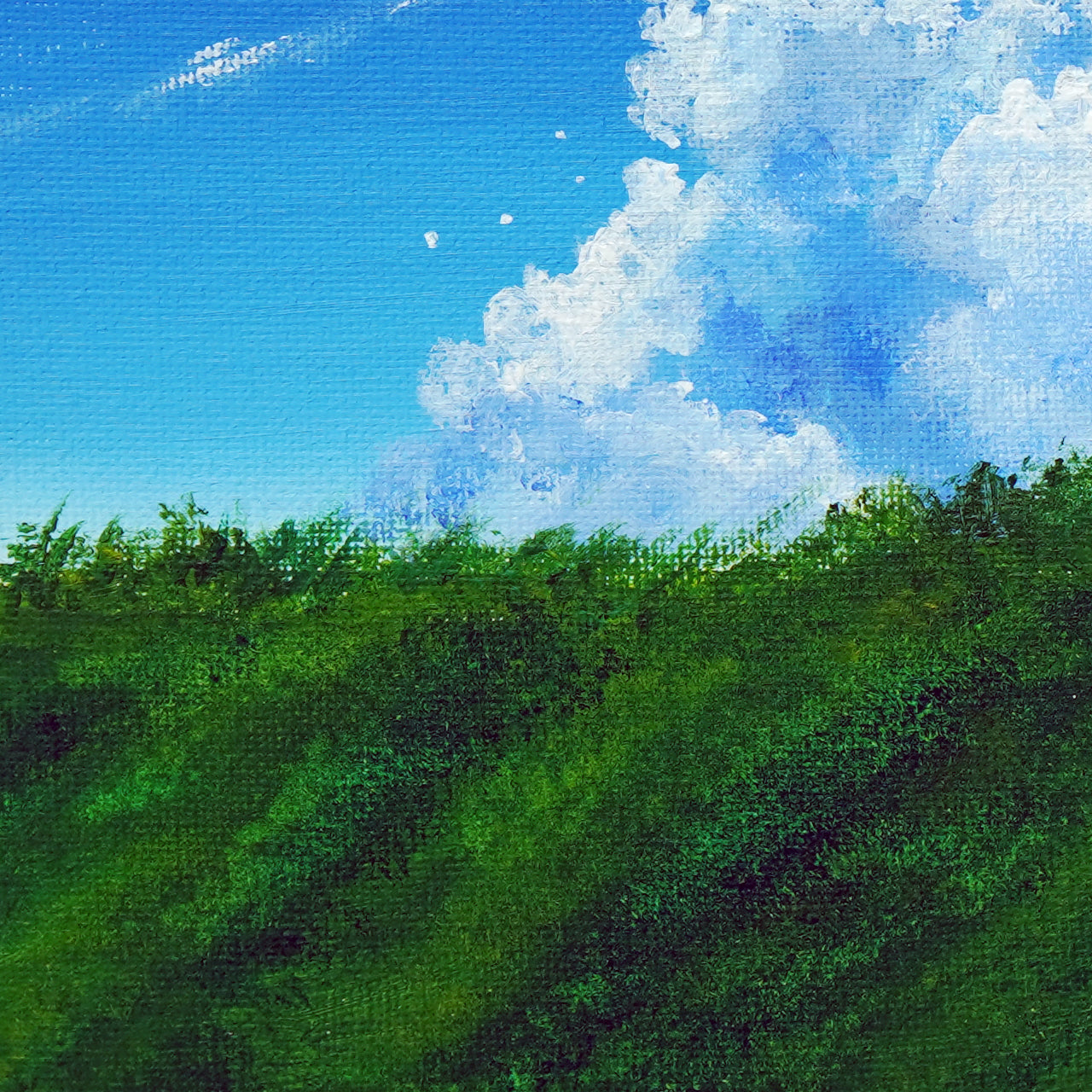 Summer Sky - 10×10