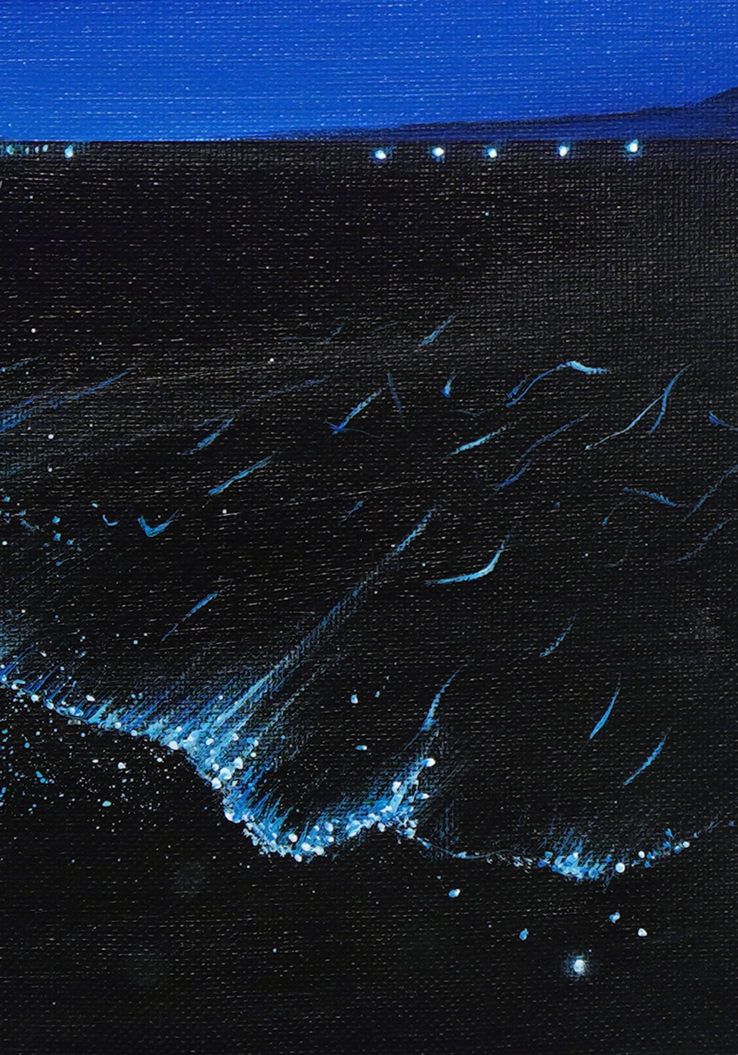 Sea Firefly - 9×12