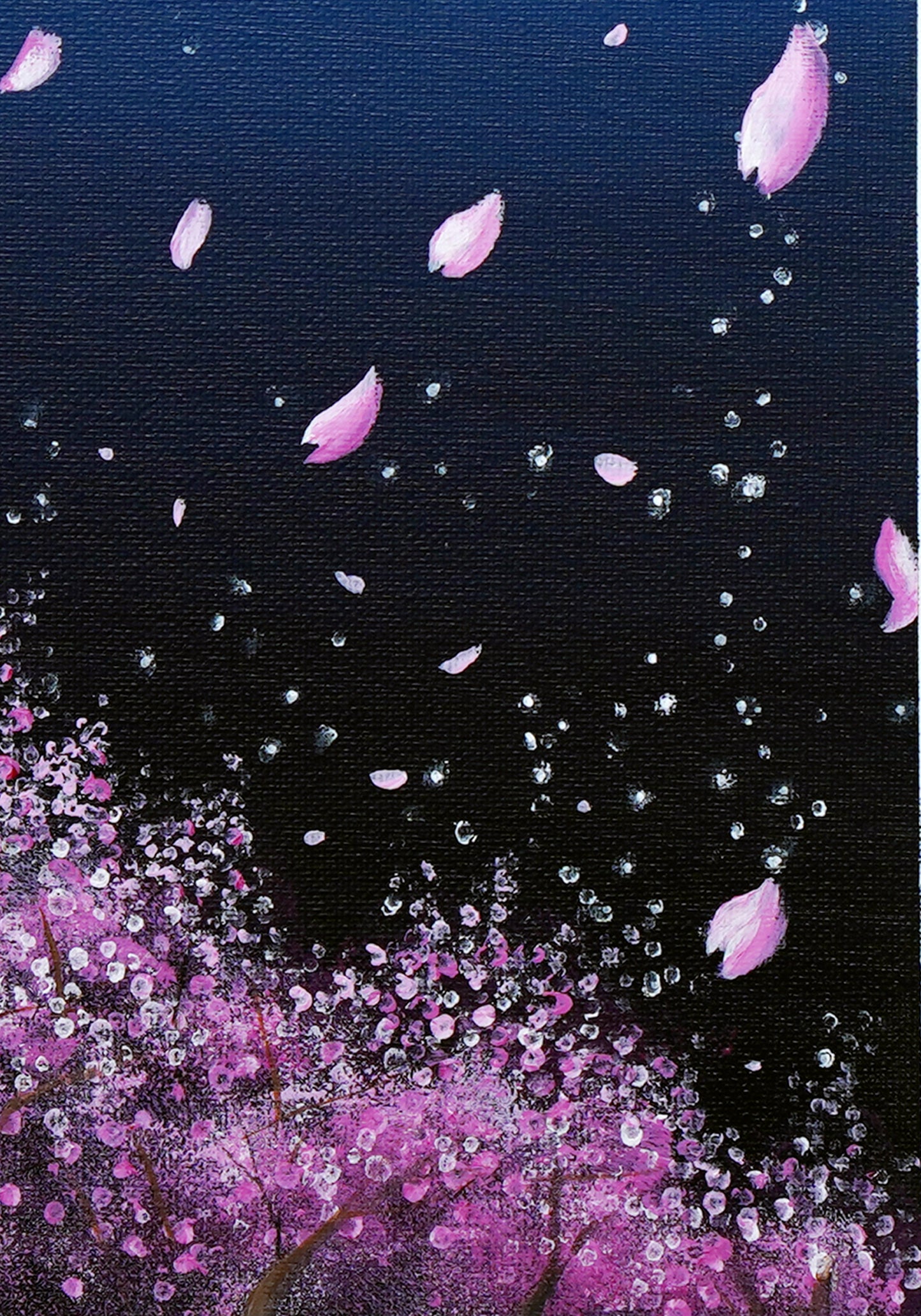 SakuraFubuki - 9×12