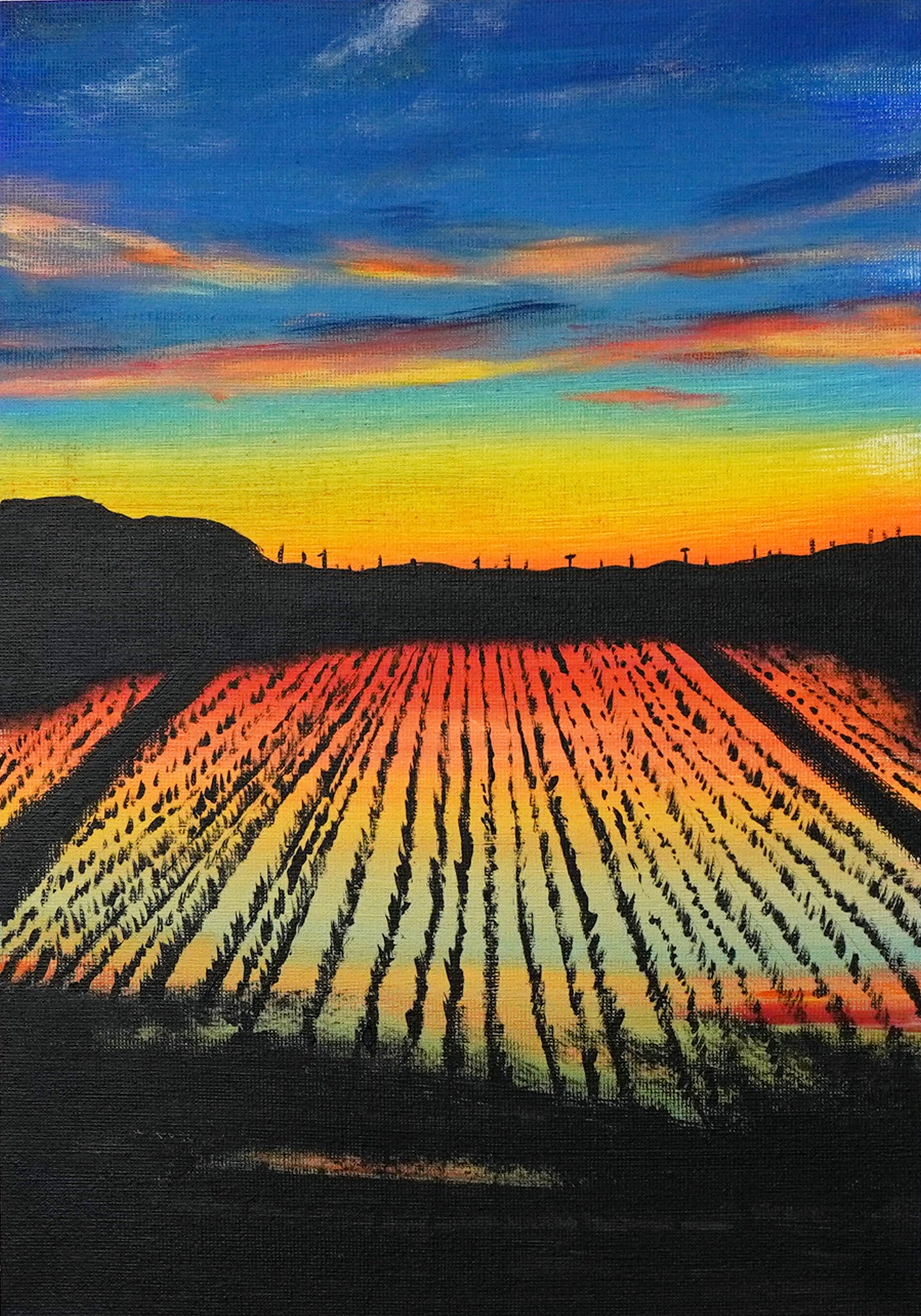 Rice field scenery - 13×10