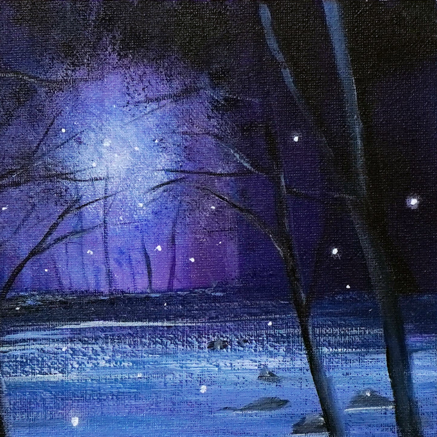 Fantastic forest - 10×10